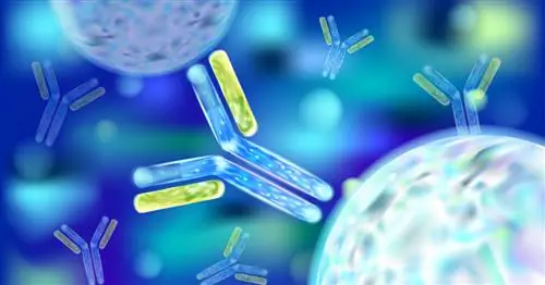 Почему так много исследований инфекционных заболеваний?