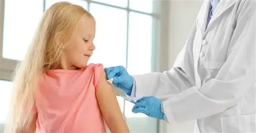 РПД: Инфекционные заболевания можно предотвратить с помощью вакцинации