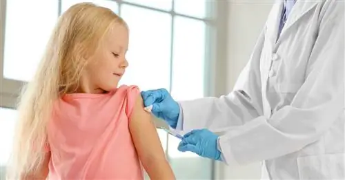 RPD: инфекционные заболевания можно предотвратить с помощью вакцинации