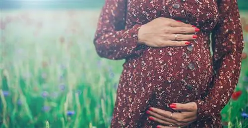 жалюзи 1759835504