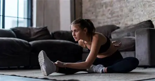 Круговая тренировка – принципы, преимущества и недостатки. Круговая тренировка дома