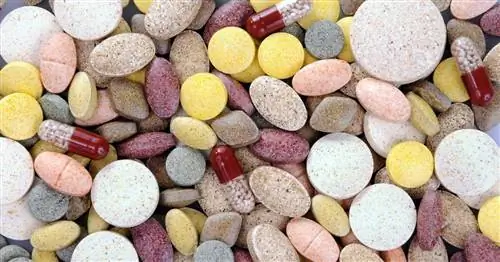Натуральные пробиотики – какие продукты употреблять?