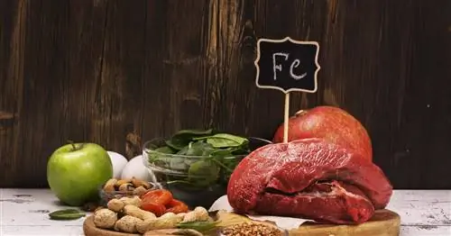 Actiferol Fe - состав, действие, дозировка