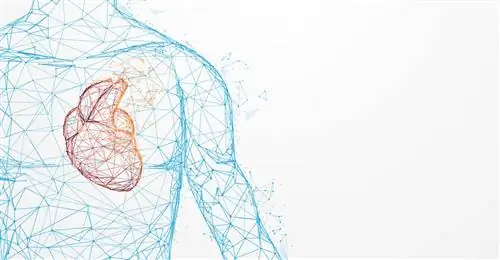 Сердечная аритмия