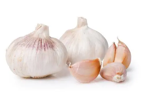 Чеснок