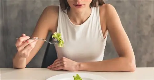 Копенгагенская диета - способ похудеть?