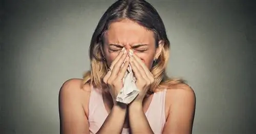 Апселан - лекарство от простуды