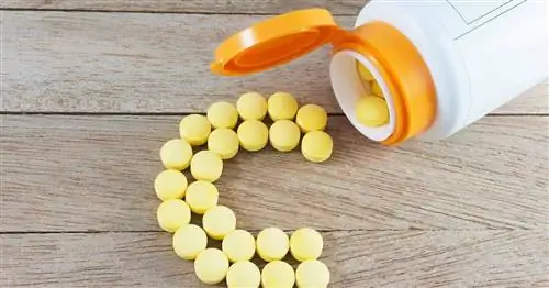 Аскорбат натрия - свойства, показания, добавки, побочные эффекты