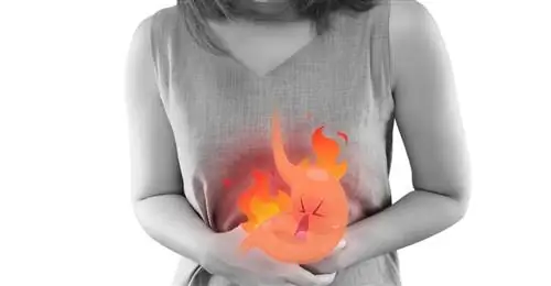 Ортанол Макс