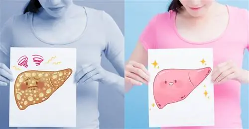 жалюзи 1059284549 жалюзи 1059284549
