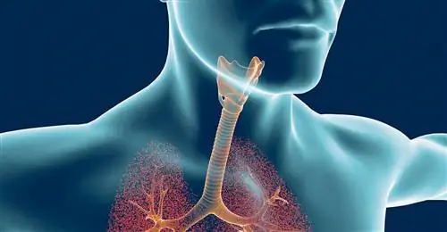 Nebu-dose поддерживает процесс самоочищения верхних и нижних дыхательных путей