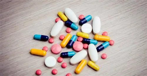 Олбас Пастилки