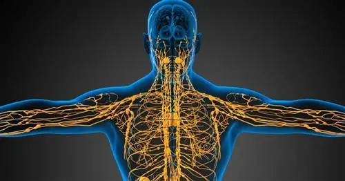 Как распознать системный микоз