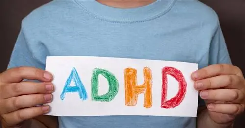 Медикинет - действие, дозировка, побочные эффекты, цена