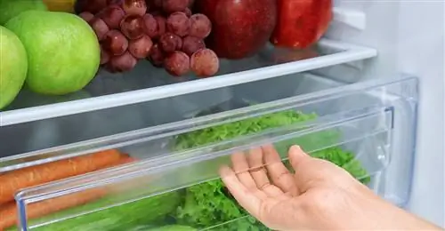 Как хранить продукты в холодильнике Как хранить продукты в холодильнике
