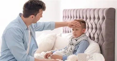 Детские сады и школы пустеют. У педиатров руки заняты