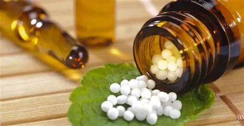 Оциллококцинум