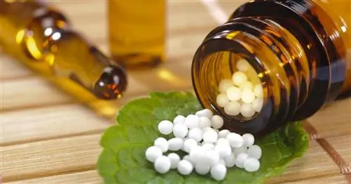 Оциллококцинум - состав, действие, дозировка, противопоказания, меры предосторожности