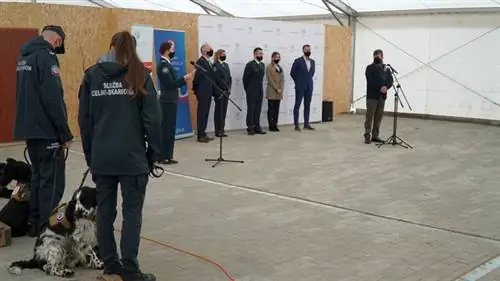 Служебные собаки KAS первыми в Польше помогут обнаружить COVID-19