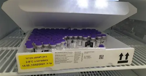 Успех программы вакцинации. Чему другие страны должны научиться у Израиля?