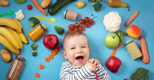 Детка, здоровое питание