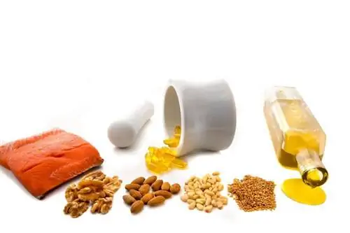 Незаменимые ненасыщенные жирные кислоты (НЖК)