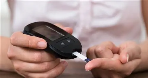 Эксперты: самоконтроль диабета означает более долгую и здоровую жизнь