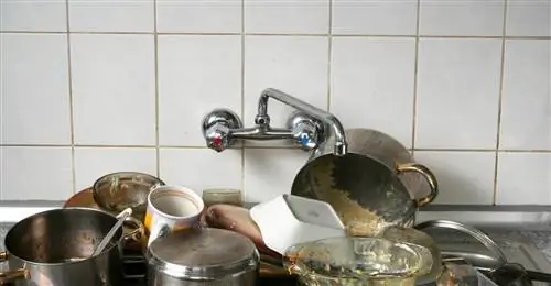 Биологическая бомба