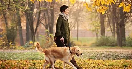 Гуляешь - дольше живешь