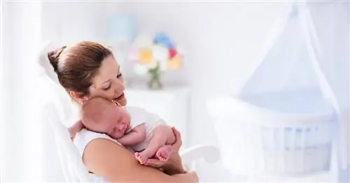 Пособие по беременности и родам. Важные изменения для родителей с 1 августа