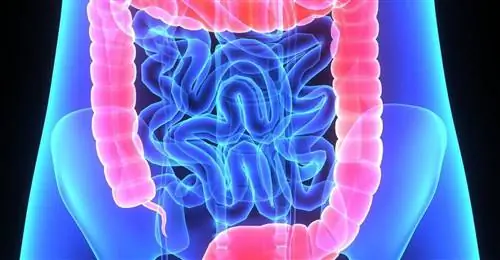 Позорная болезнь на всю жизнь