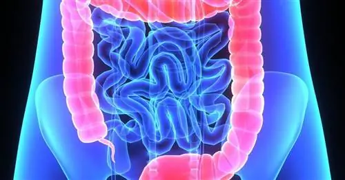 Мучительная болезнь на всю жизнь