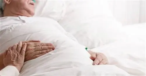 Дыхание Биота - нарушение дыхания.