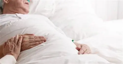 Дыхание Био - одно из нарушений дыхания