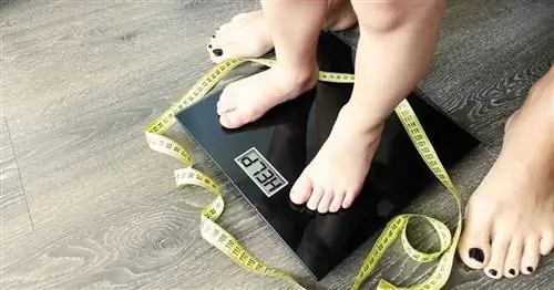 Знаете ли вы, что в Польше самый высокий процент 11-летних детей с избыточным весом?