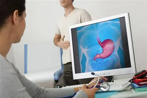 Язвенная болезнь