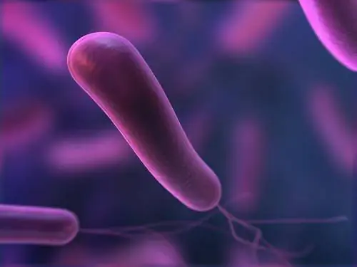 Хеликобактерная инфекция