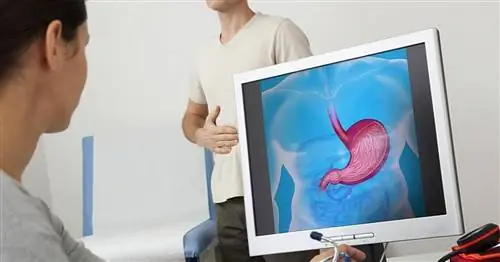 Почему болит живот?