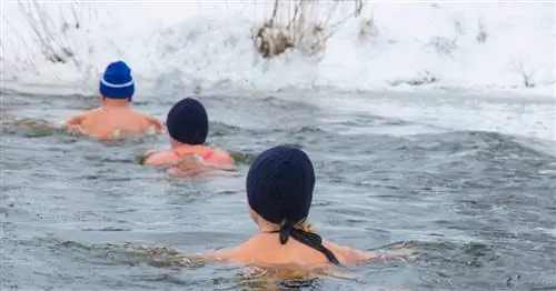 Полезно ли плавание?