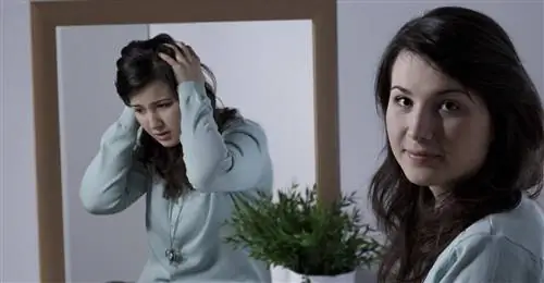 Бред преследования