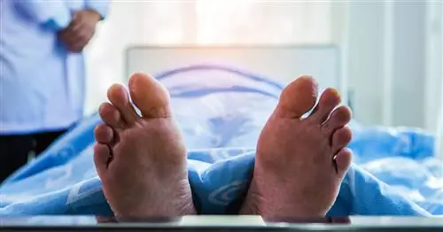 Что происходит с человеком, когда он умирает? 10 фактов, которые могут вас удивить