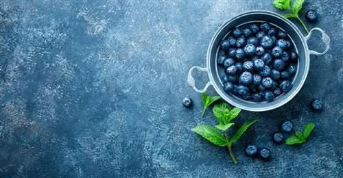 жалюзи 648395479