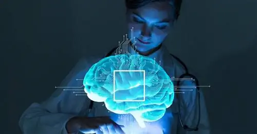 Мозг - строение, функции, травмы и заболевания. Чем кормить мозг?