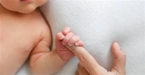 Лучший возраст для рождения ребенка