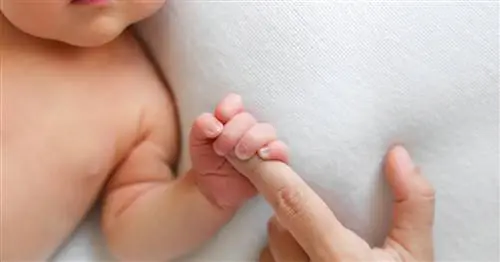 Лучший возраст для рождения ребенка? Вот результаты исследования