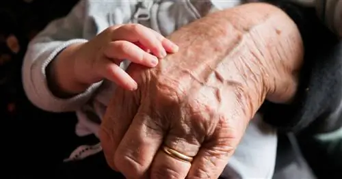 У нас больше всего смертей и меньше всего рождений со времен Второй мировой войны. "Драма!"