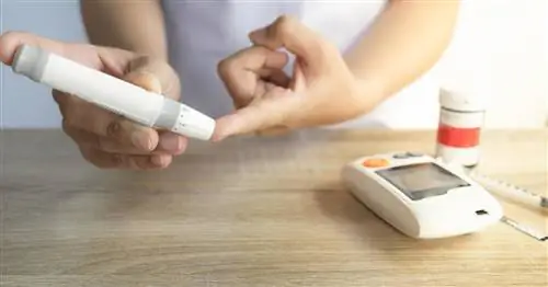 Обязанности диабетика