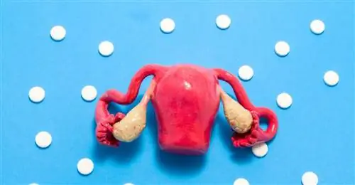 Эксперты: женское бесплодие часто связано с эндометриозом