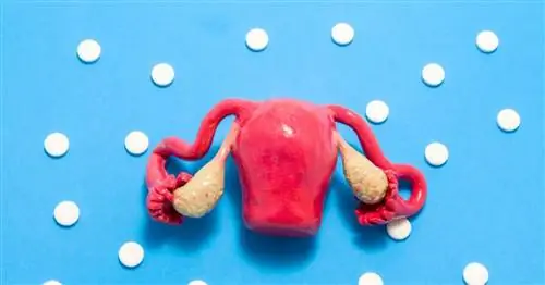 Эксперты: женское бесплодие часто связано с эндометриозом