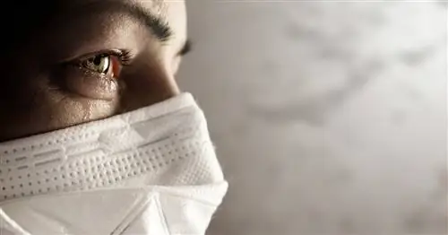 Карантины будут изменены. Решение будет объявлено в ближайшее время